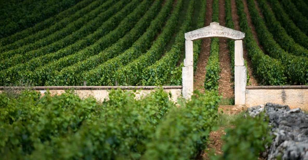 Decoding Burgundy: Understanding the Region's Wine Classification System