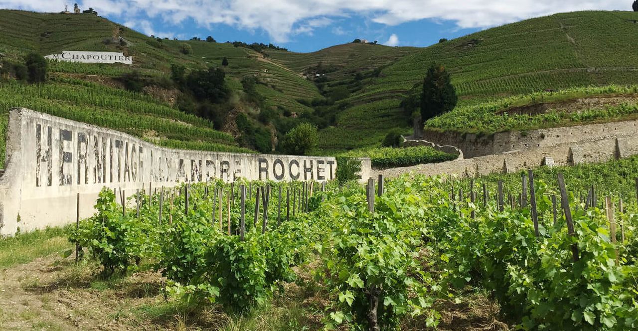 The Rhône Valley Uncovered: A Wine Lover’s Guide North to South