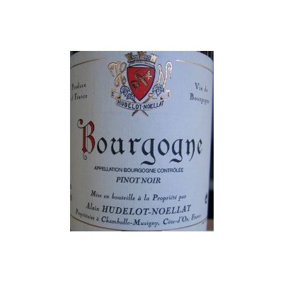 2019 Alain Hudelot-Noellat, Bourgogne (12x750ml)