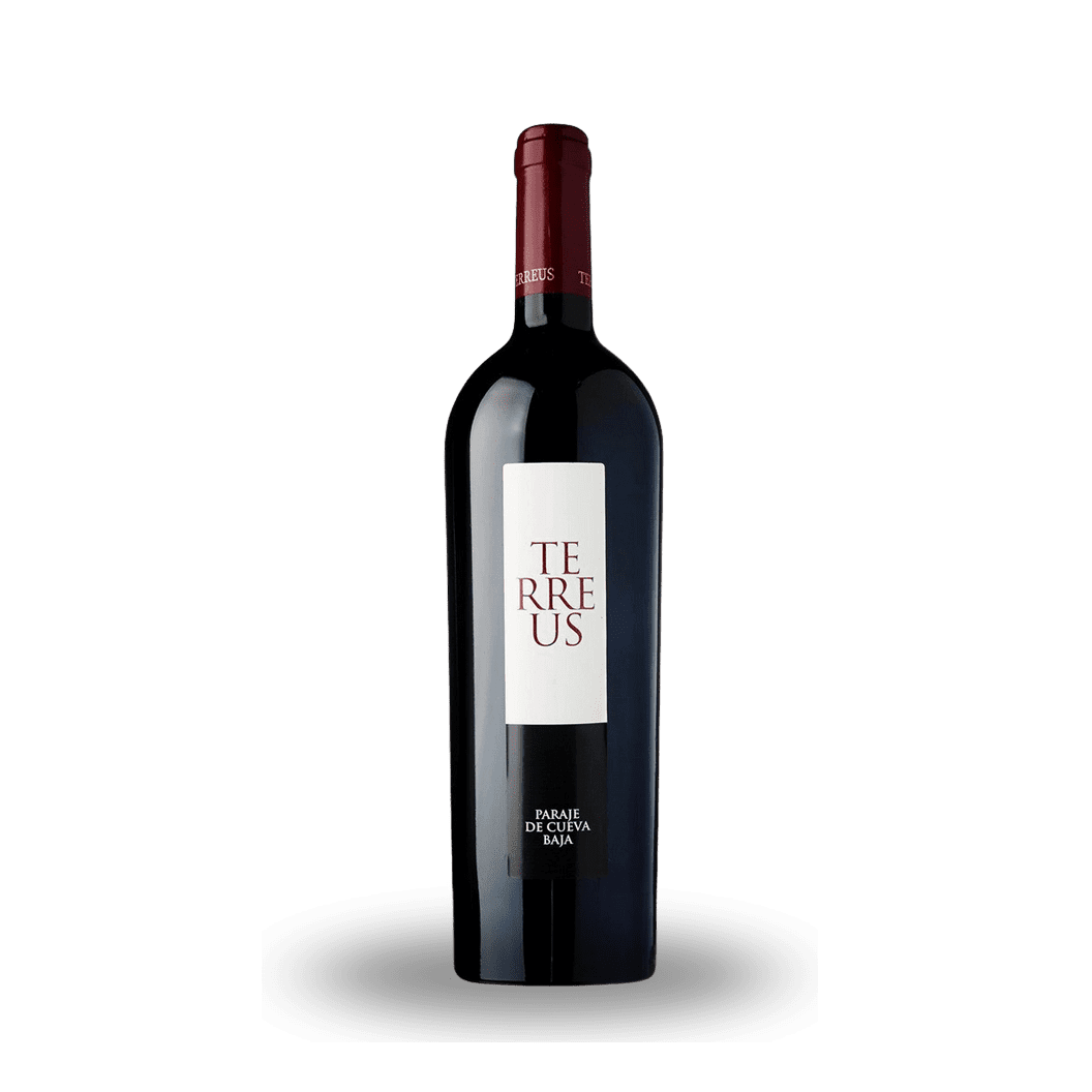 2010 Mauro, Terreus Paraje de Cueva Baja, Castilla y Leon