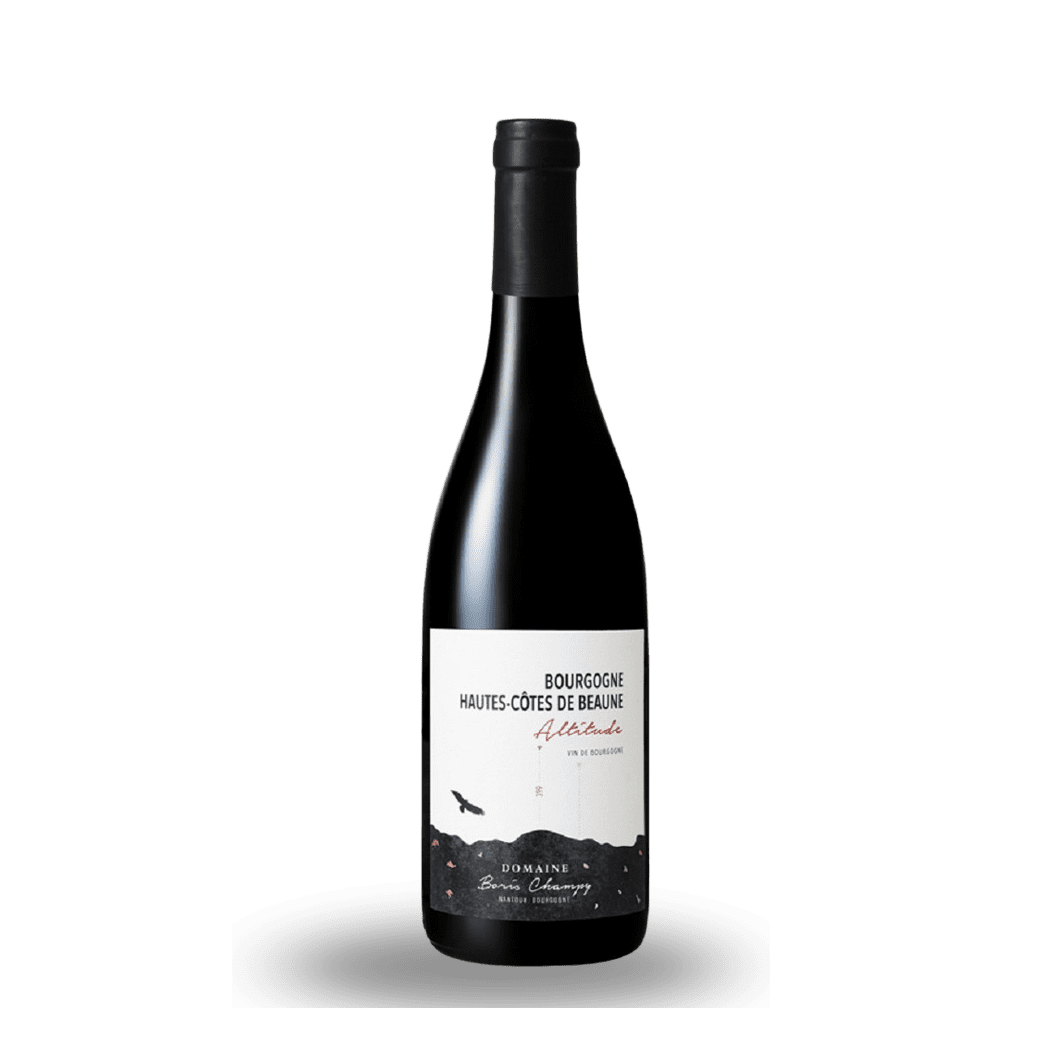 2019 Domaine Boris Champy, Bourgogne, Hautes Cotes de Beaune Altitude 377 6x750ml