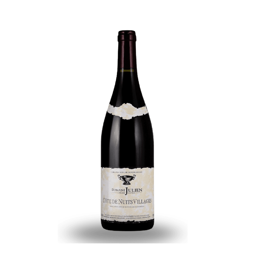 2020 Domaine Gerard Julien & Fils, Cote de Nuits-Villages, Armand 12x750ml