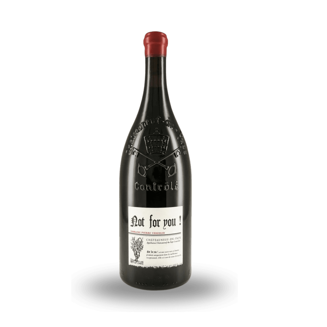 2019 Domaine Pierre Usseglio, Chateauneuf-du-Pape, Not For You 6x750ml