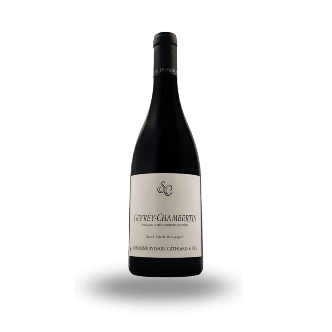 2019 Domaine Sylvain Cathiard, Gevrey-Chambertin 6x750ml